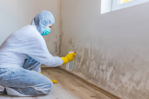 Licensed Mold Testing service in National Park, NJ - WQB Mold Removal