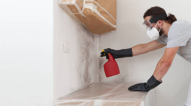 Professional Mold Testing technician working in National Park, NJ
