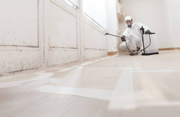 24/7 Emergency Mold Testing experts in National Park, NJ