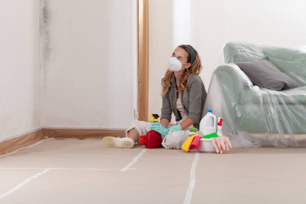 Reliable Mold Testing contractor in National Park, NJ by WQB Mold Removal